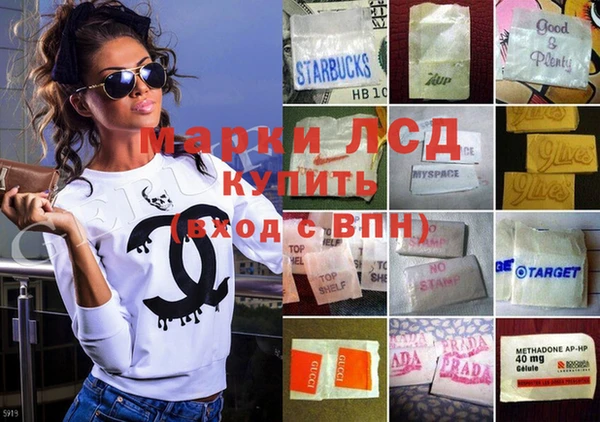 гашик Алзамай
